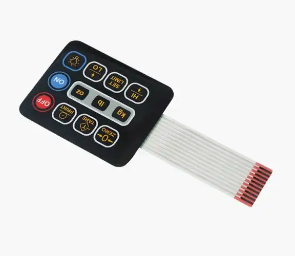 Inside Membrane Switches